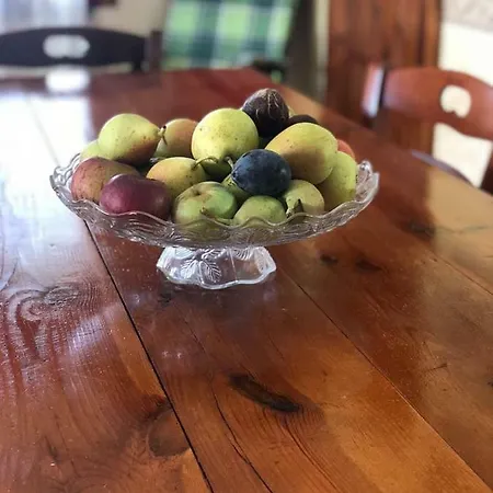 Daire Pietramiliare Trecase