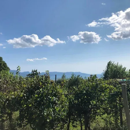 Pietramiliare Appartement Trecase